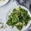 soup-salad-img6